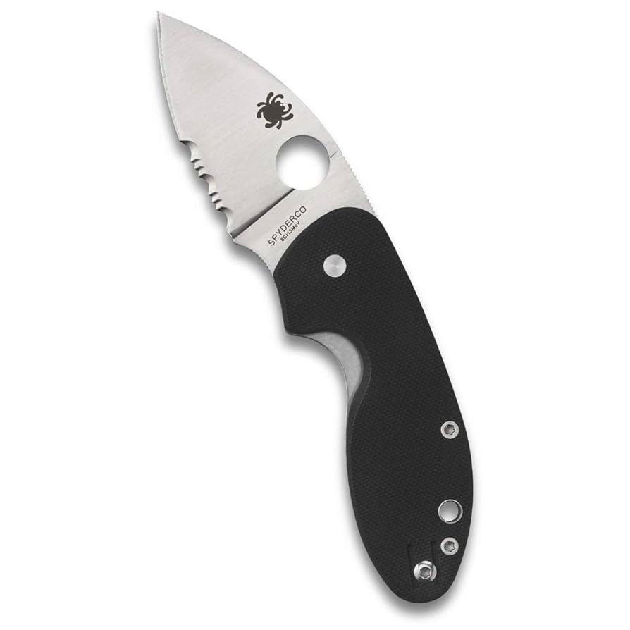 Amazon.com : Spyderco Insistent Value Knife with 2.47